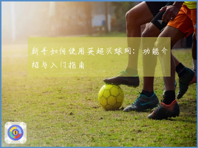 新手如何使用英超买球网：功能介绍与入门指南
