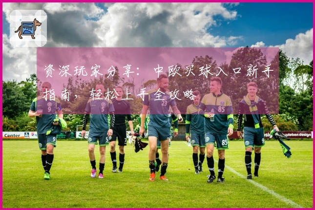 资深玩家分享：中欧买球入口新手指南，轻松上手全攻略